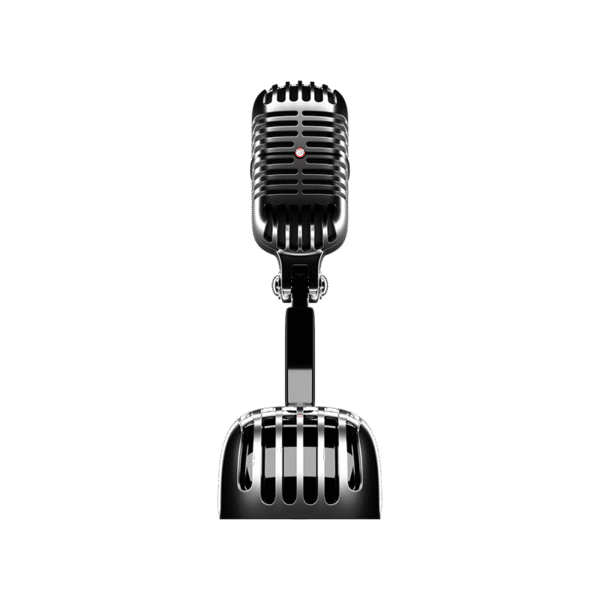 Recording Mic